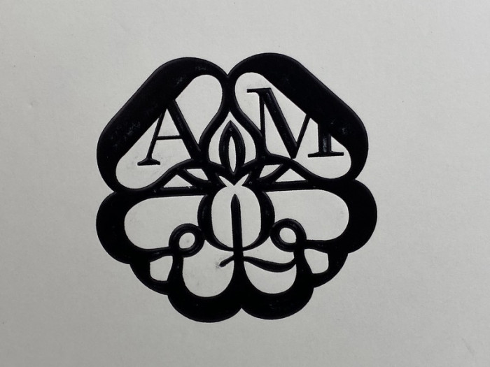 ale*d*r M*Q*en sole sneakers colorful kickze-4